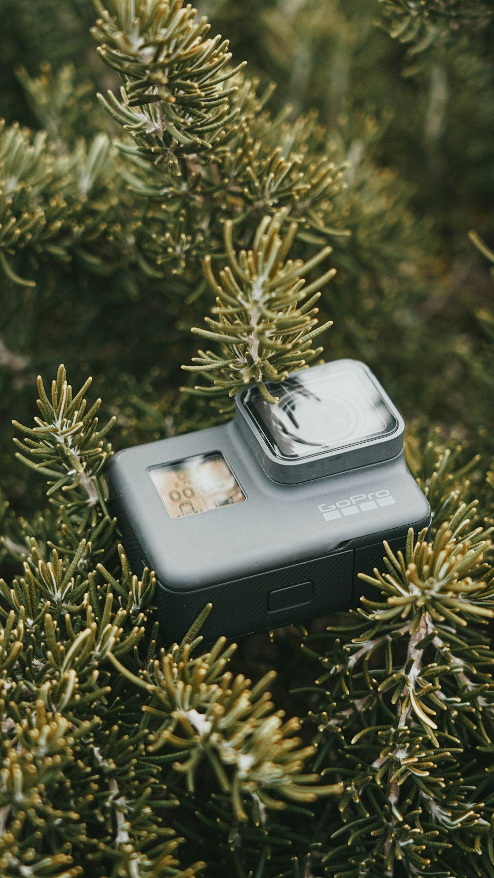 a camera sitting on top of a tree