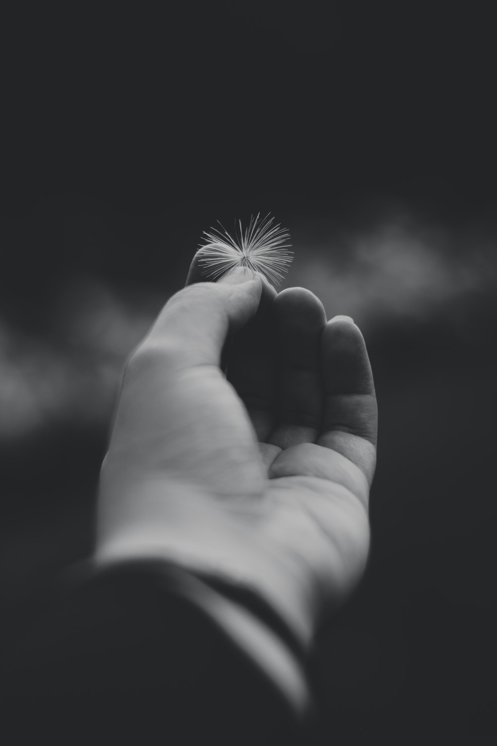 a person holding a dandelion in their hand