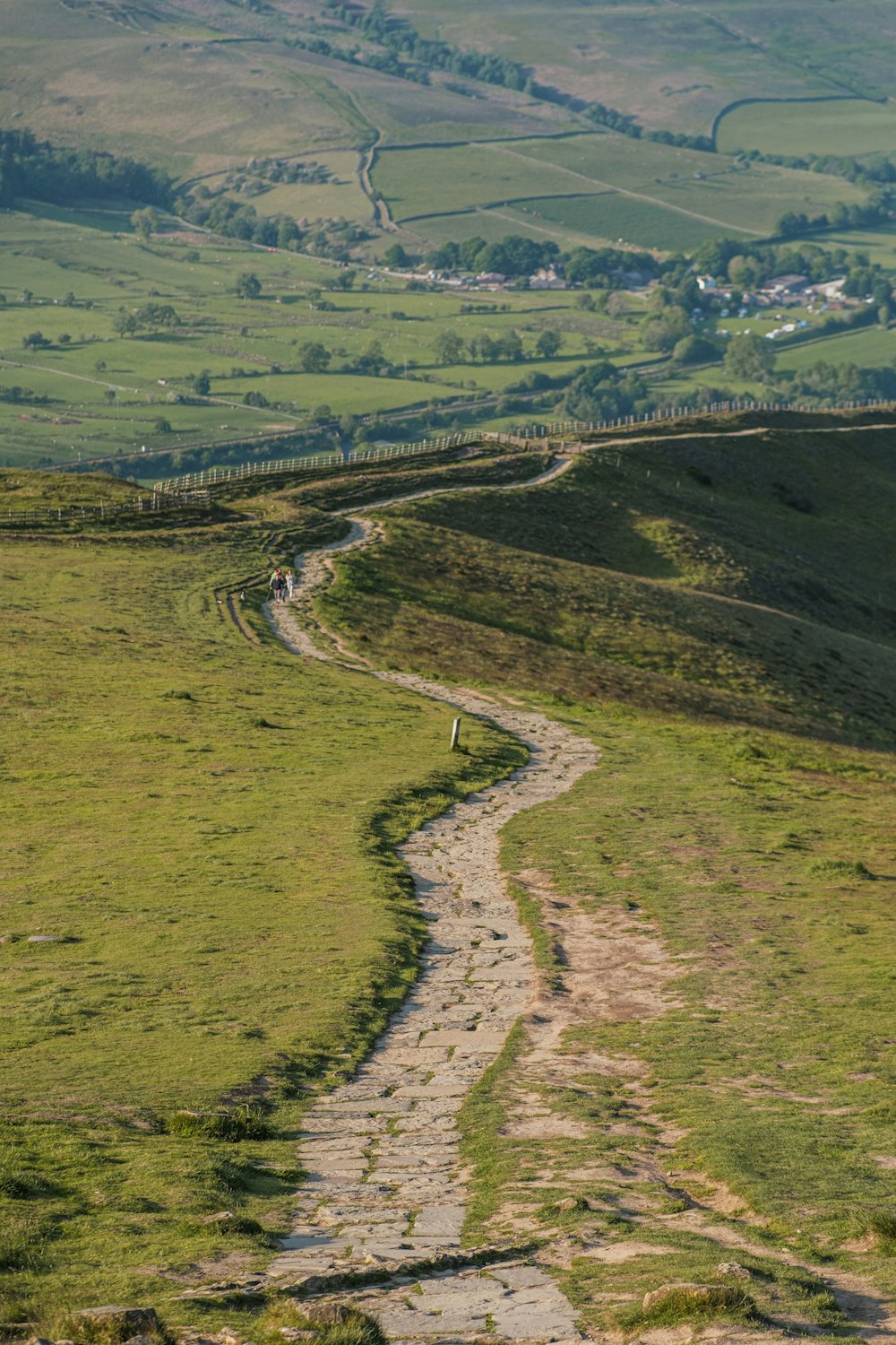 um caminho no meio de um campo gramado