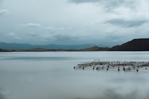 A serene landscape features a large body of water that stretches towards distant hills under an overcast sky. A fish farming structure, equipped with netted sections and red buoys, floats in the foreground water, contributing to the tranquil and industrial ambiance of the scene.