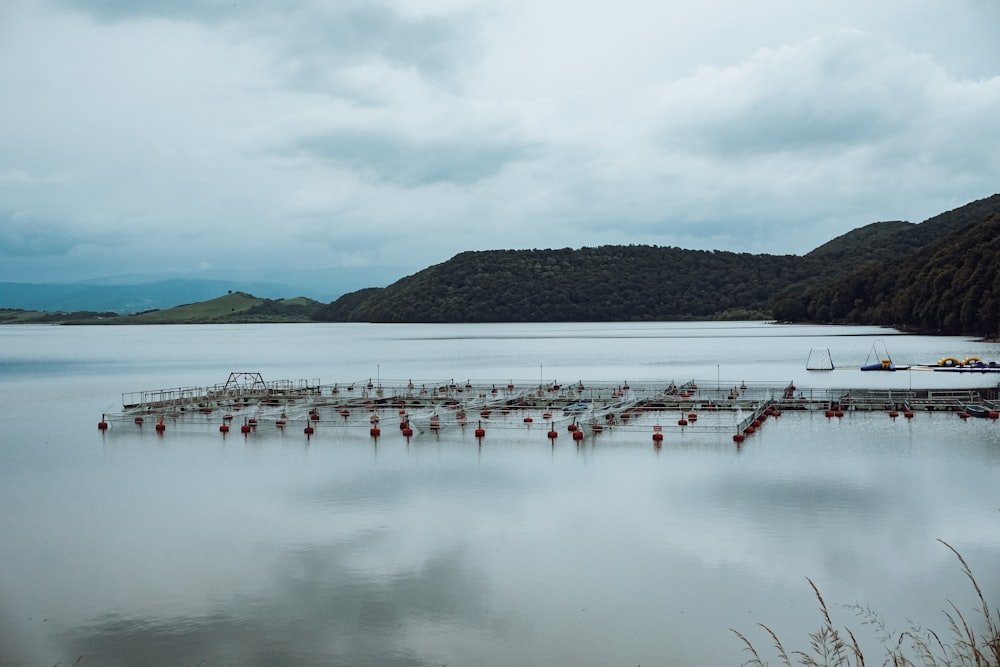 un grand plan d’eau entouré d’une forêt