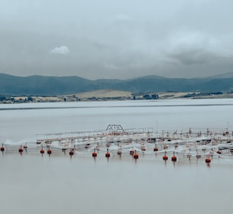 a large body of water filled with lots of boats