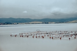 a large body of water filled with lots of boats