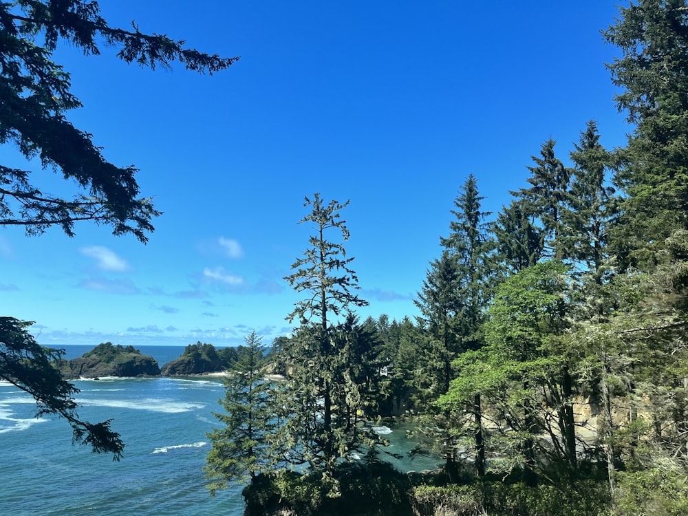 a scenic view of the ocean and trees