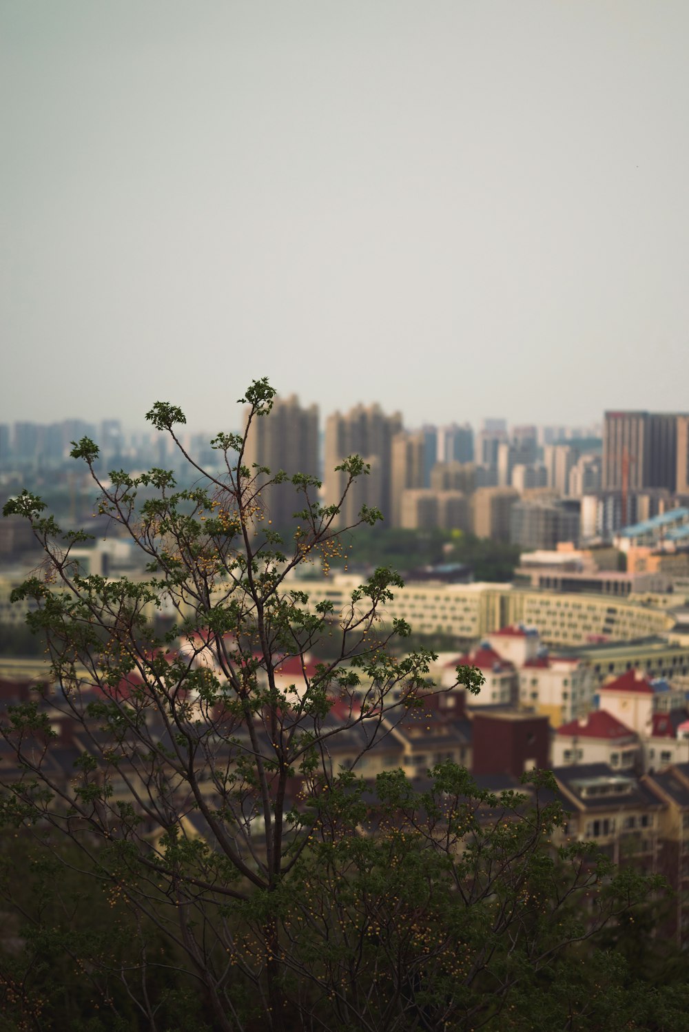 a view of a city from a hill