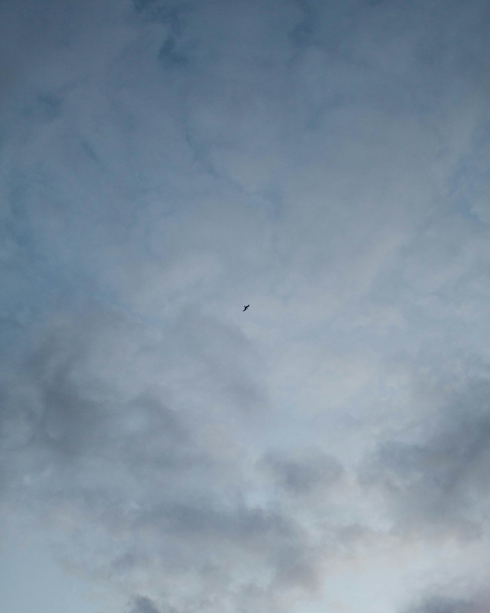 a bird flying in a cloudy sky at sunset