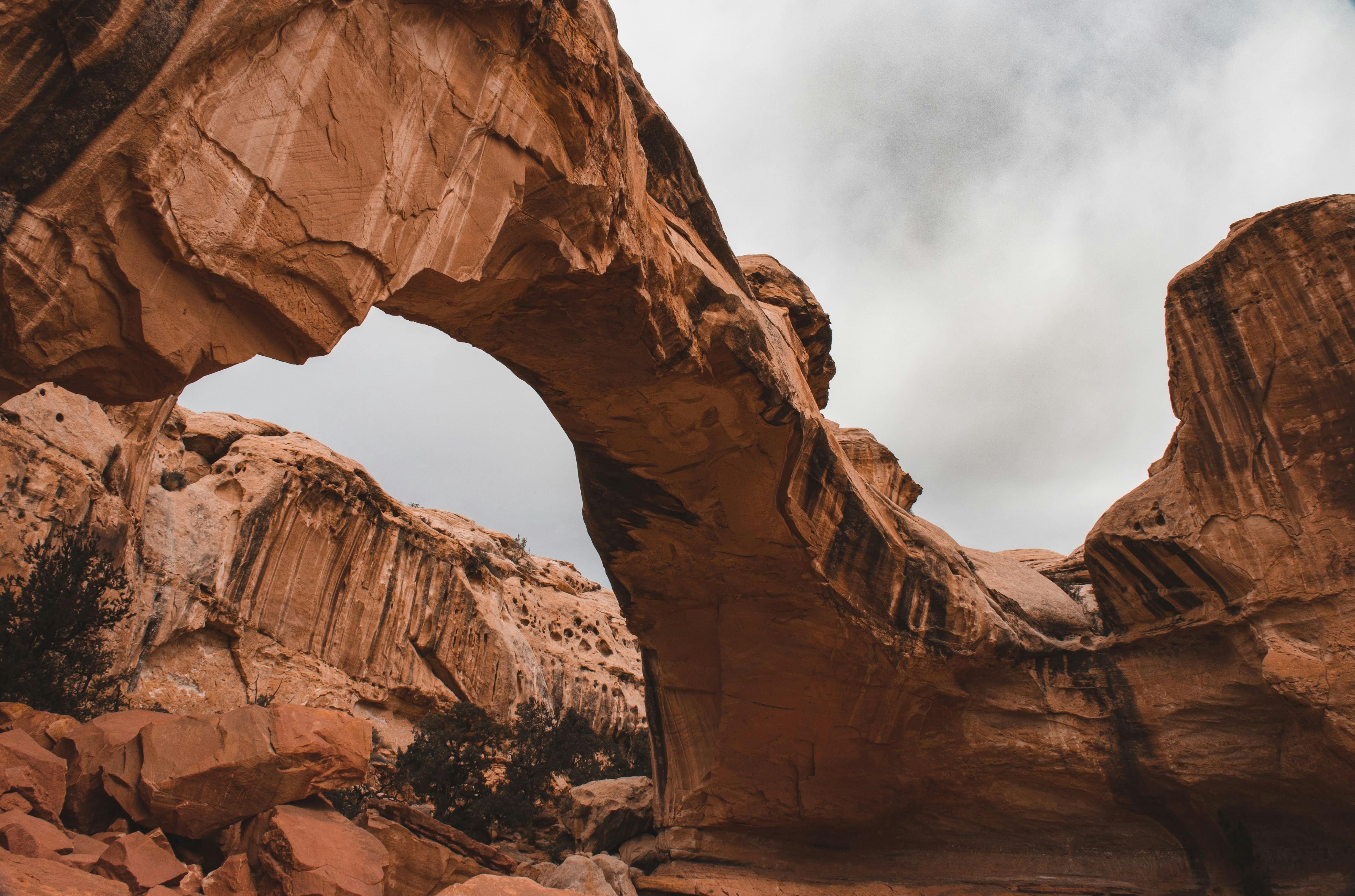 Photo by brice_cooper18