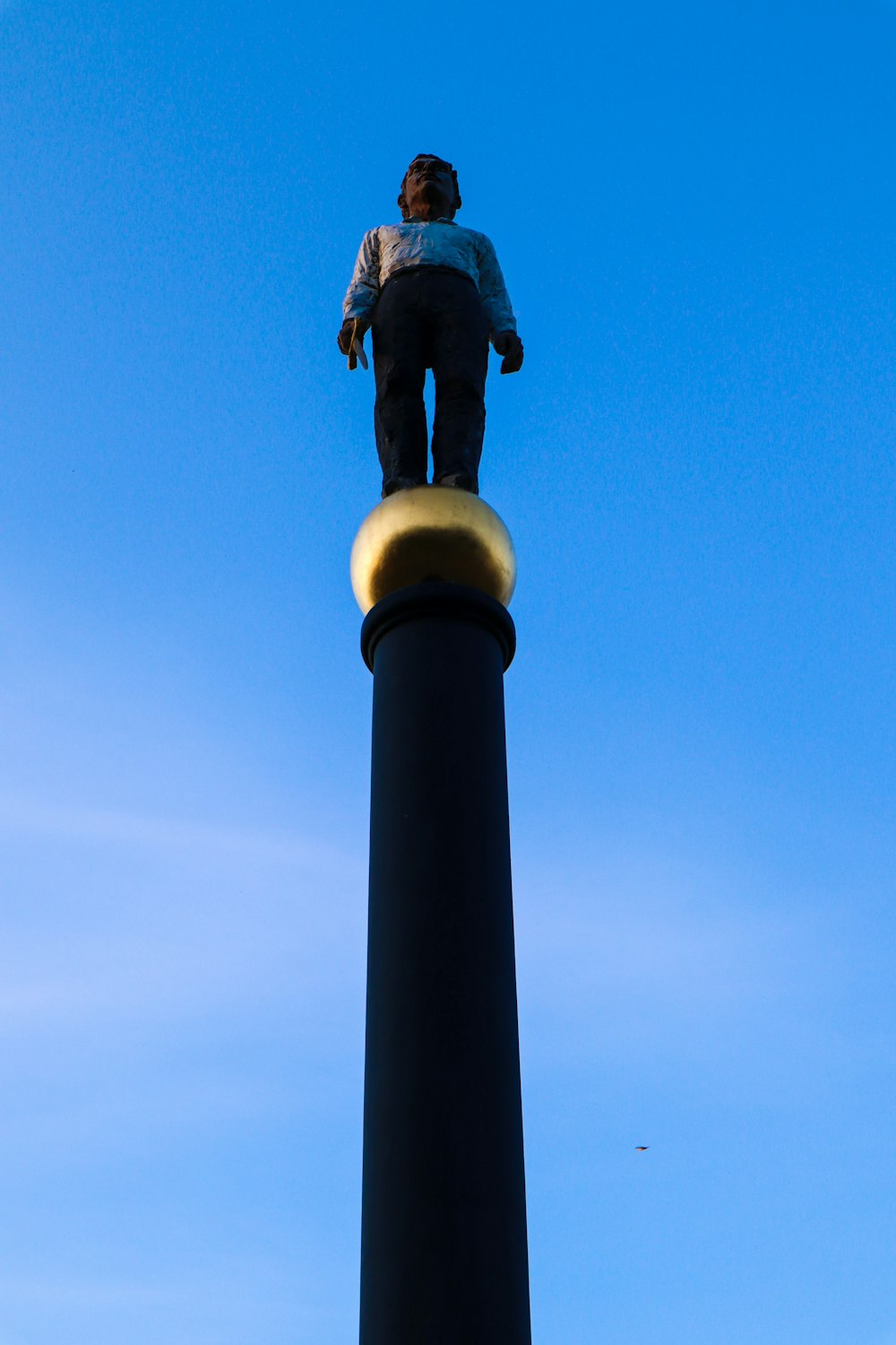 a man standing on top of a tall black pole