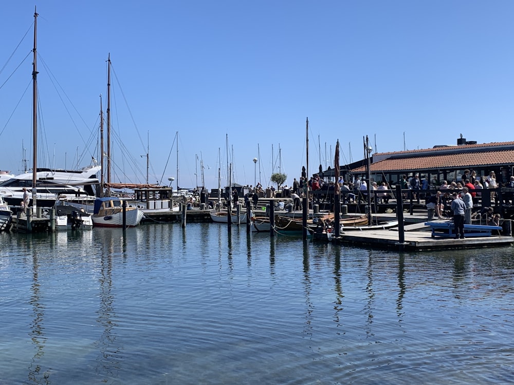 a harbor filled with lots of boats on top of water