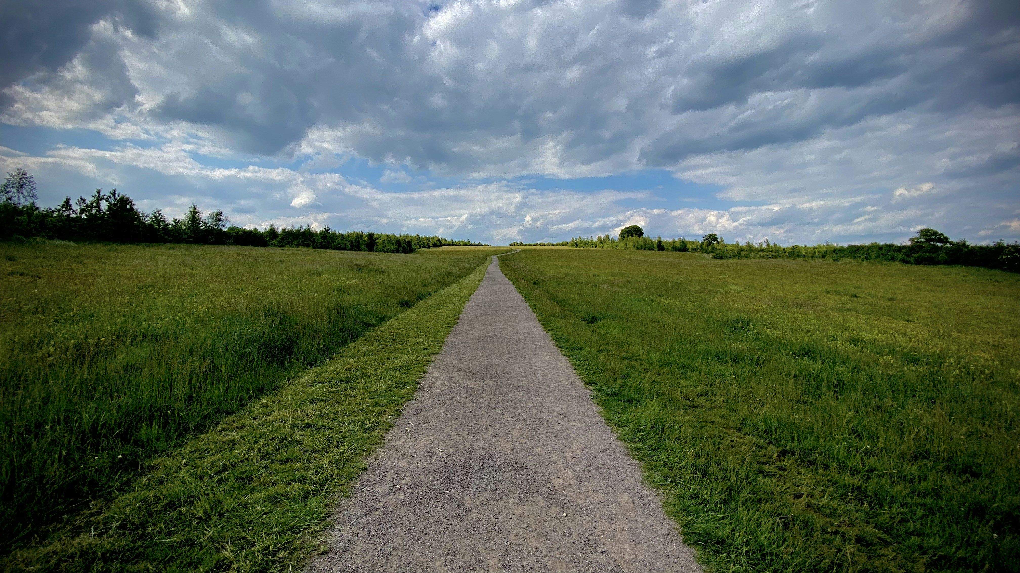 jalan panjang di tengah ladang berumput