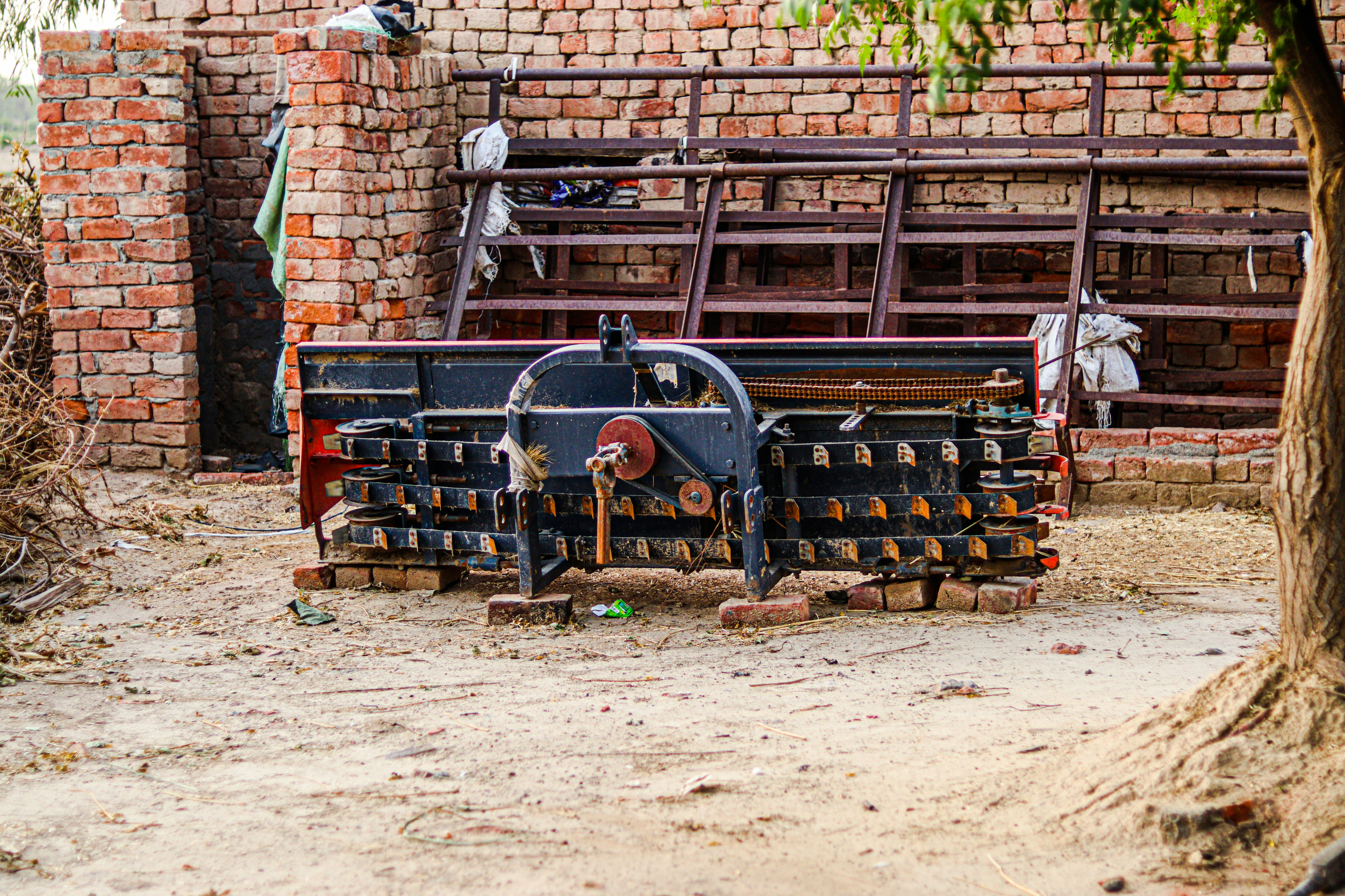 Photo by swastikarora