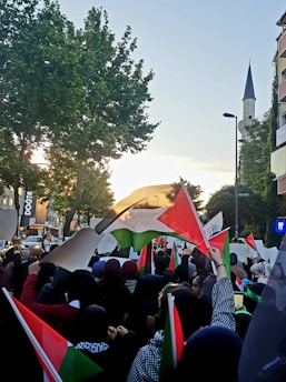 a large group of people holding flags on a street