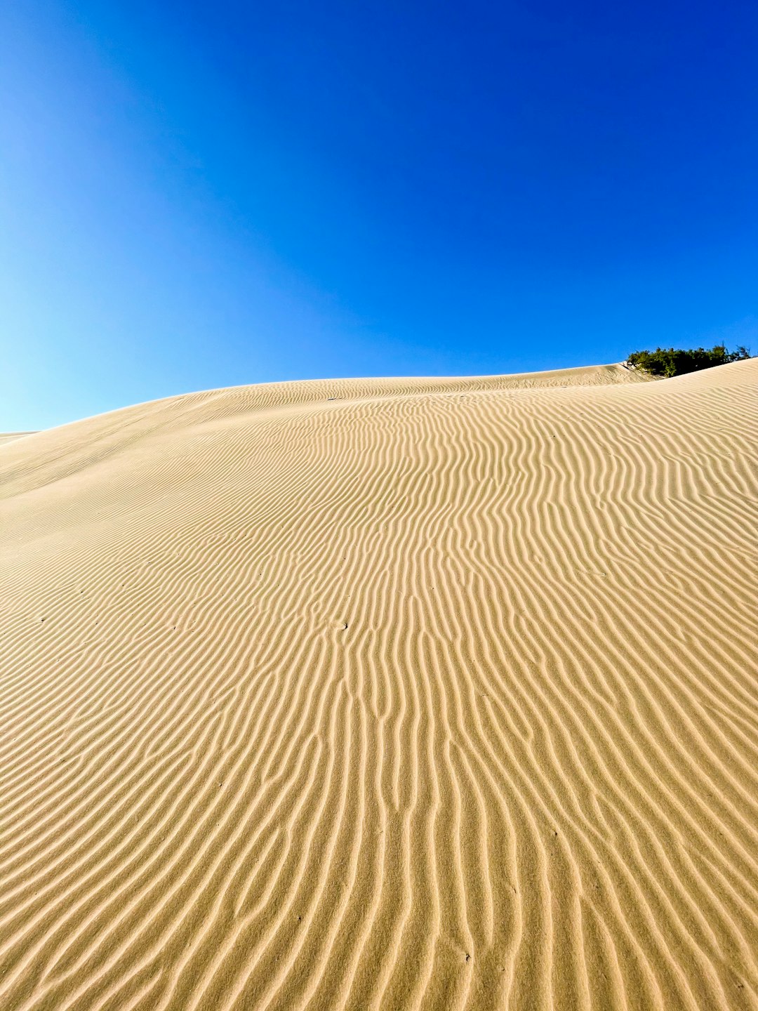 Natural landscape photo spot Essaouira Sidi Kaouki