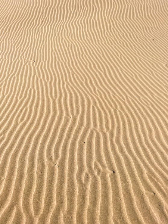 a sandy beach with a few waves in the sand