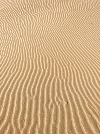 a sandy beach with a few waves in the sand
