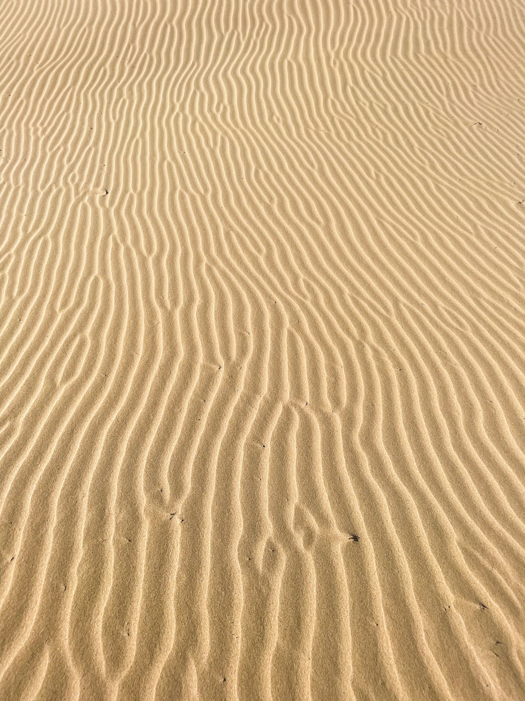 Dune photo spot Essaouira Morocco