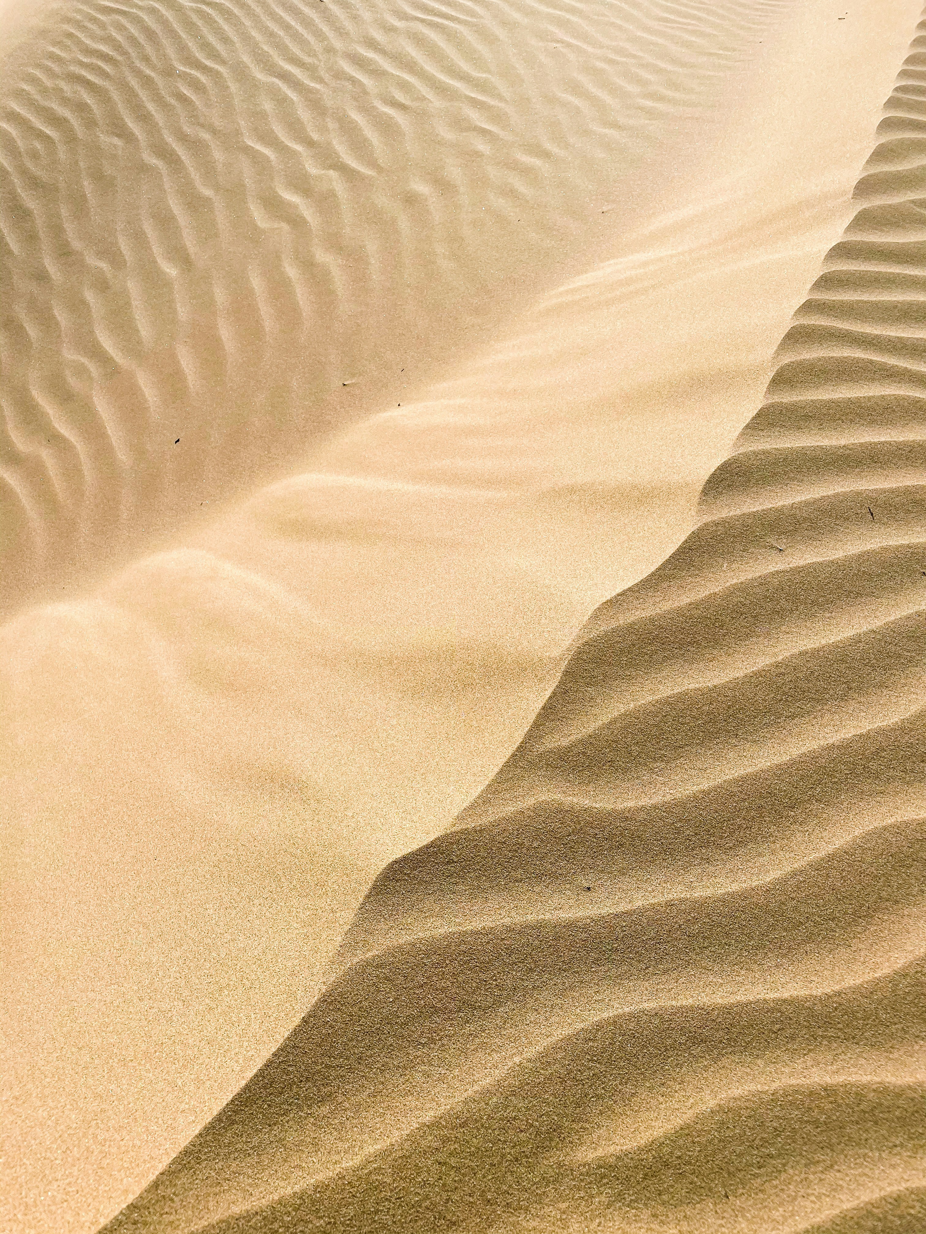 Photo by anainsomnia