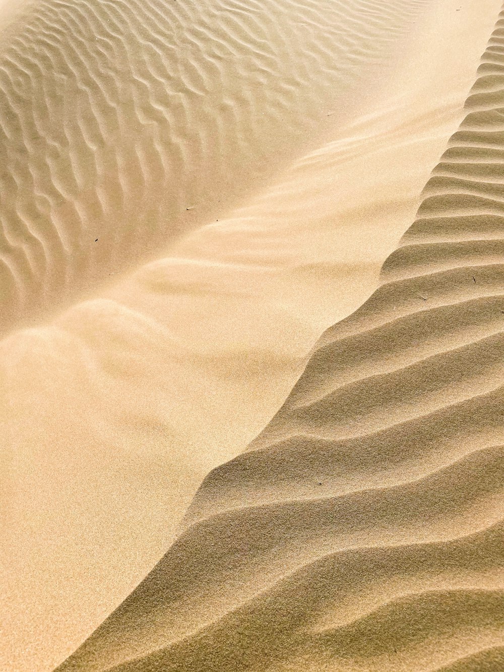 Una grande duna di sabbia nel mezzo di un deserto