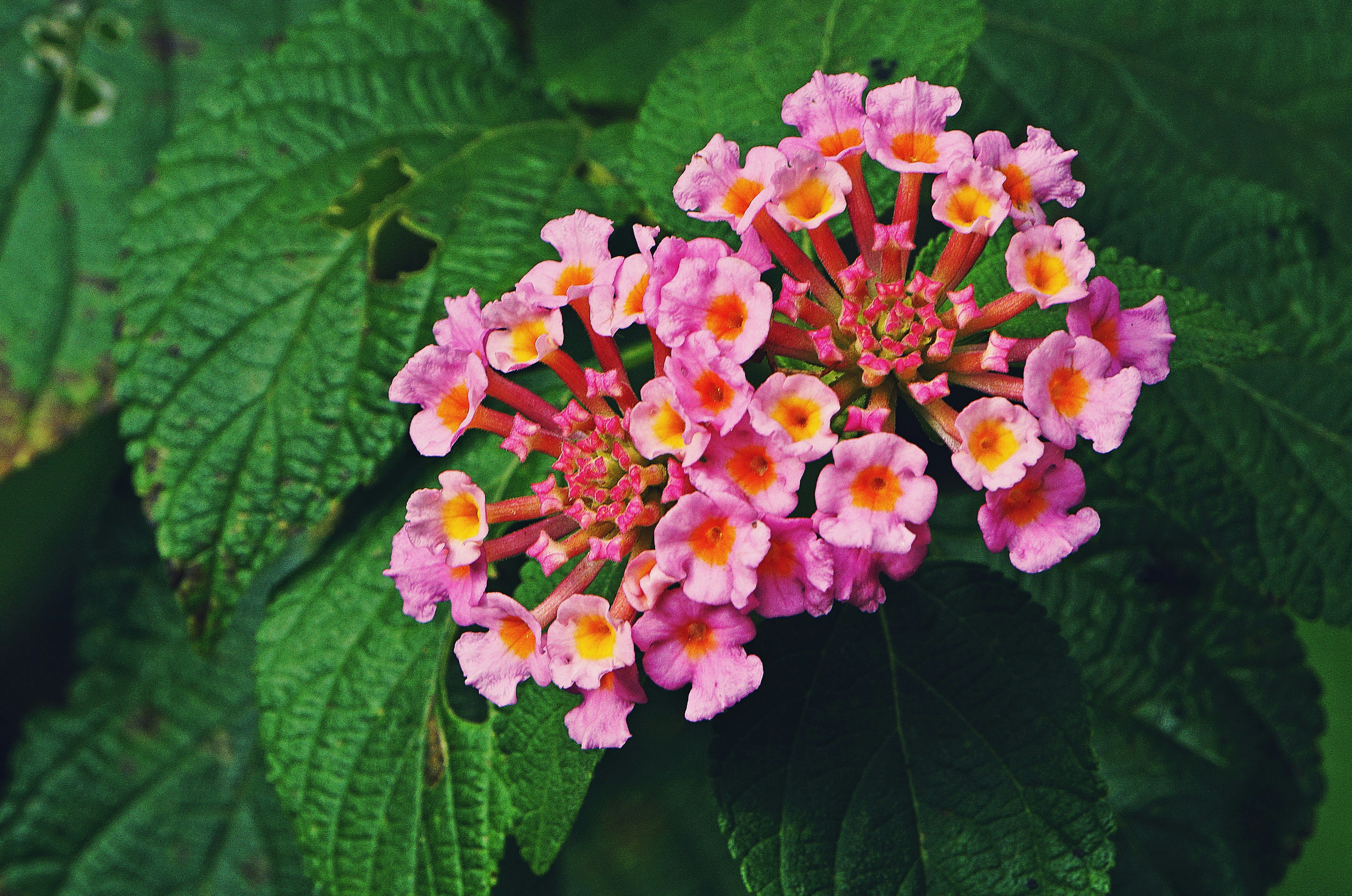 Photo by helen_susan