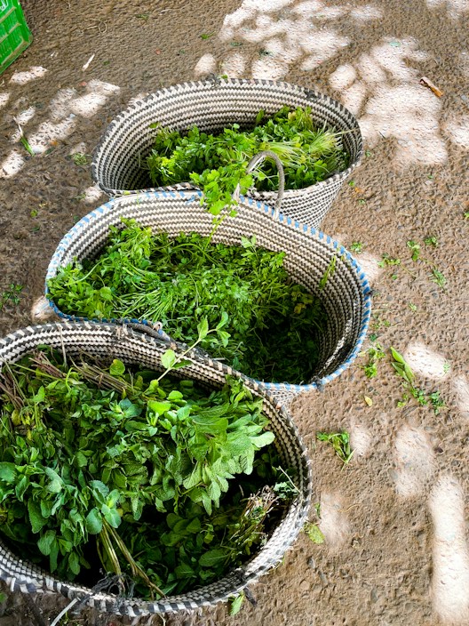 Three woven baskets filled with fresh green herbs are placed on a textured stone surface. Sunlight creates dappled shadows across the ground, adding a natural and rustic ambience.