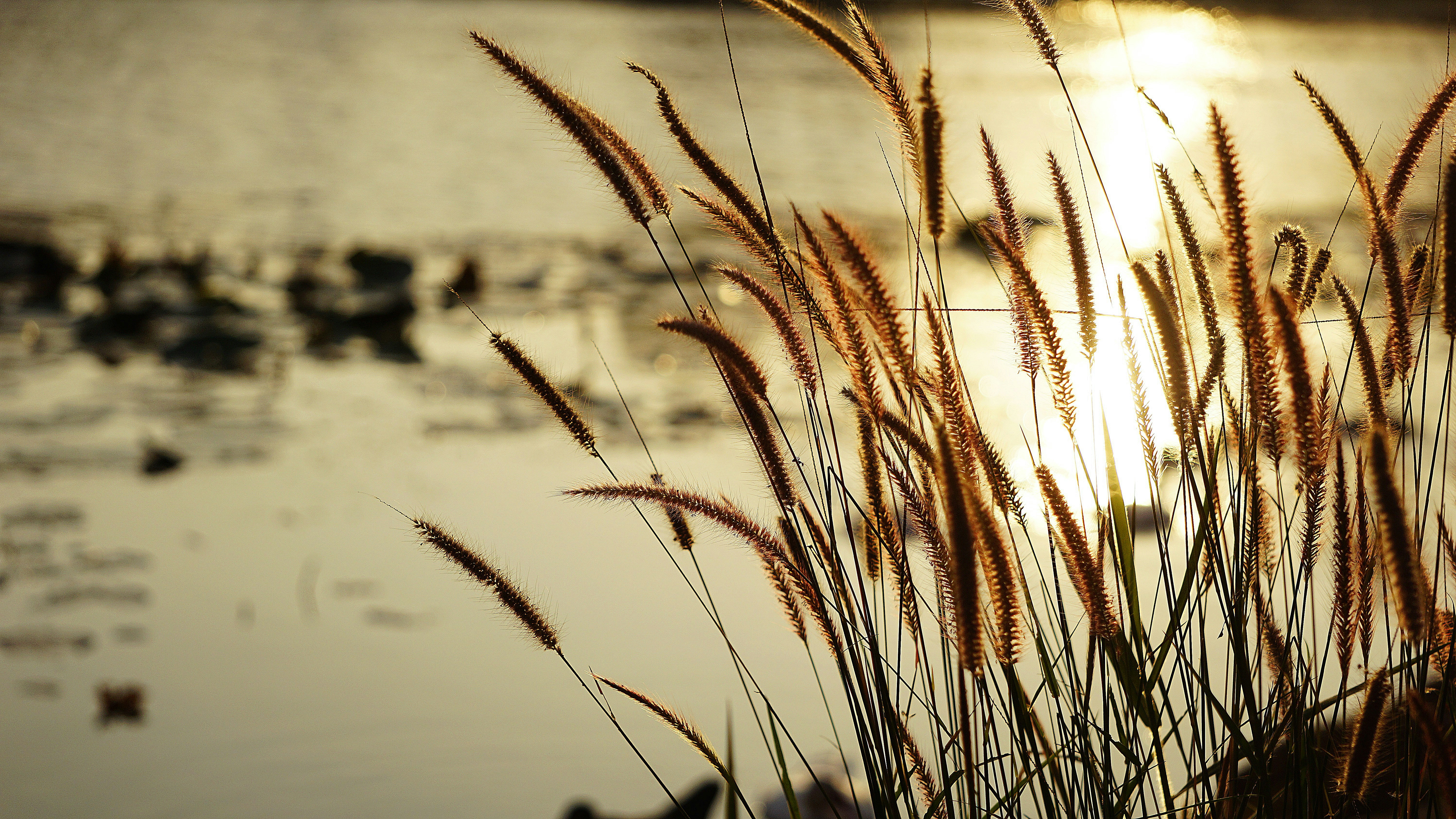 Photo by helen_susan