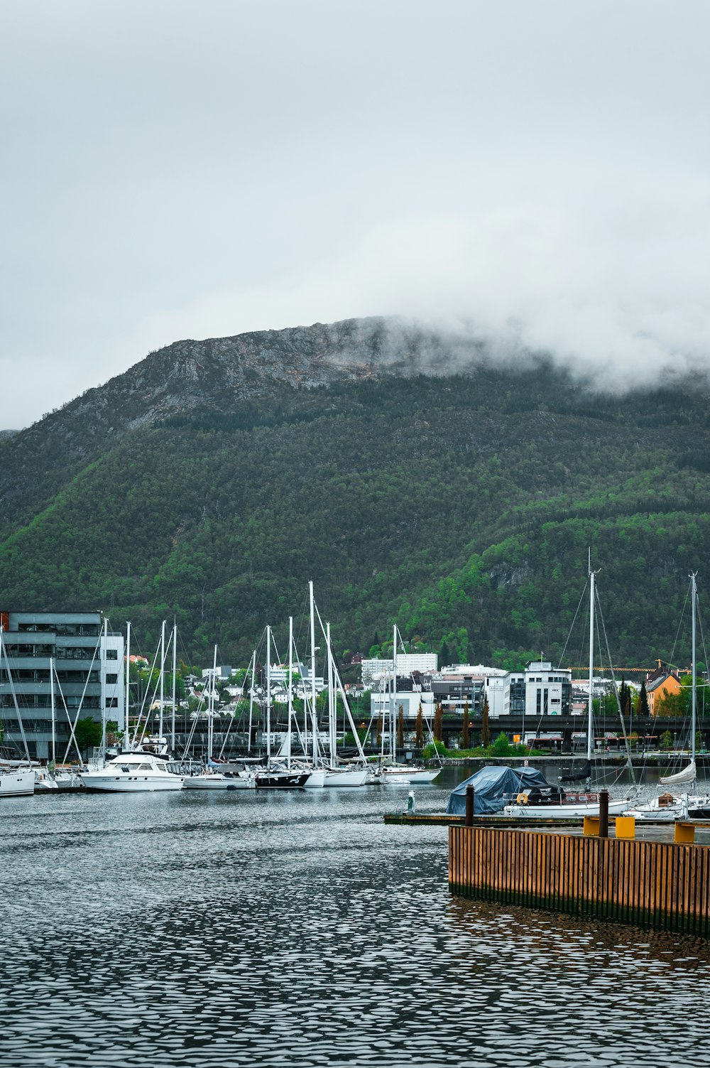 a body of water with a mountain in the background