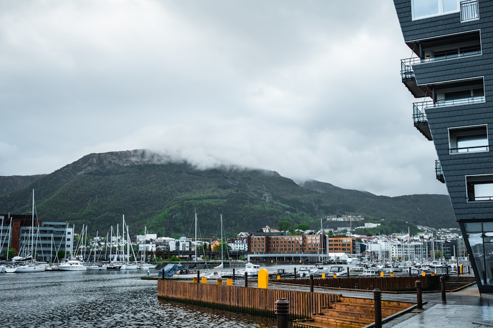 a large body of water with a mountain in the background