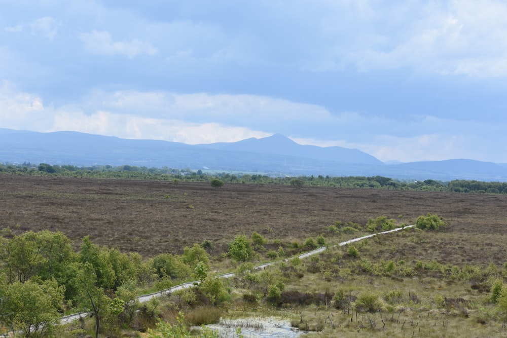 a large open field with mountains in the distance