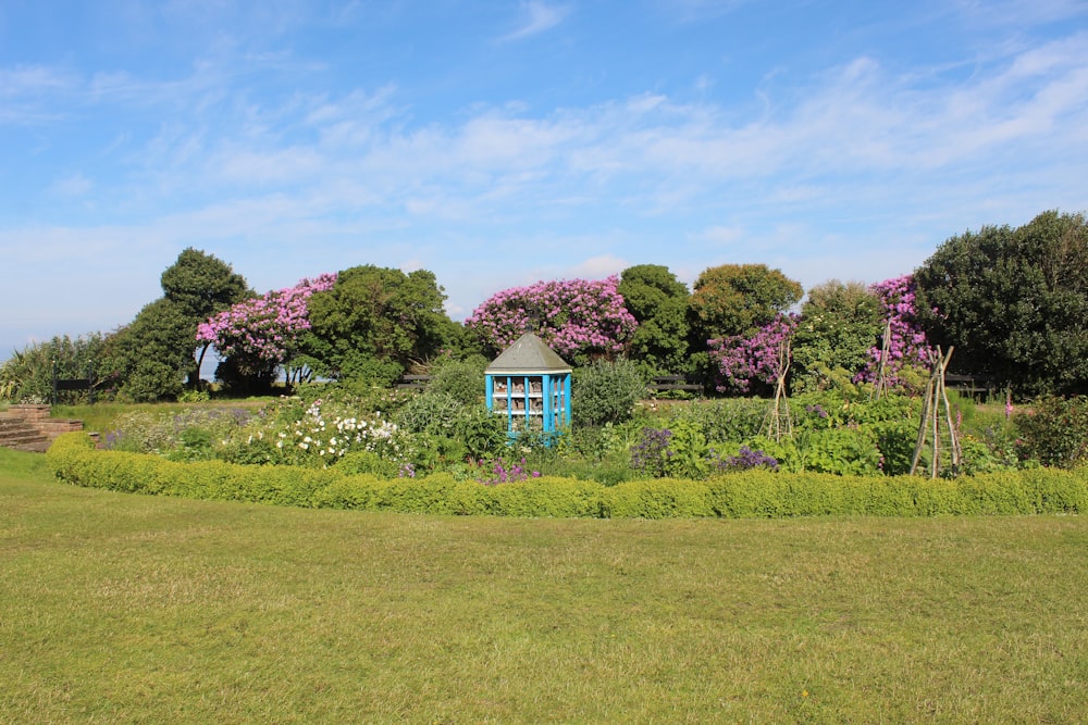 a garden with a blue shed in the middle of it