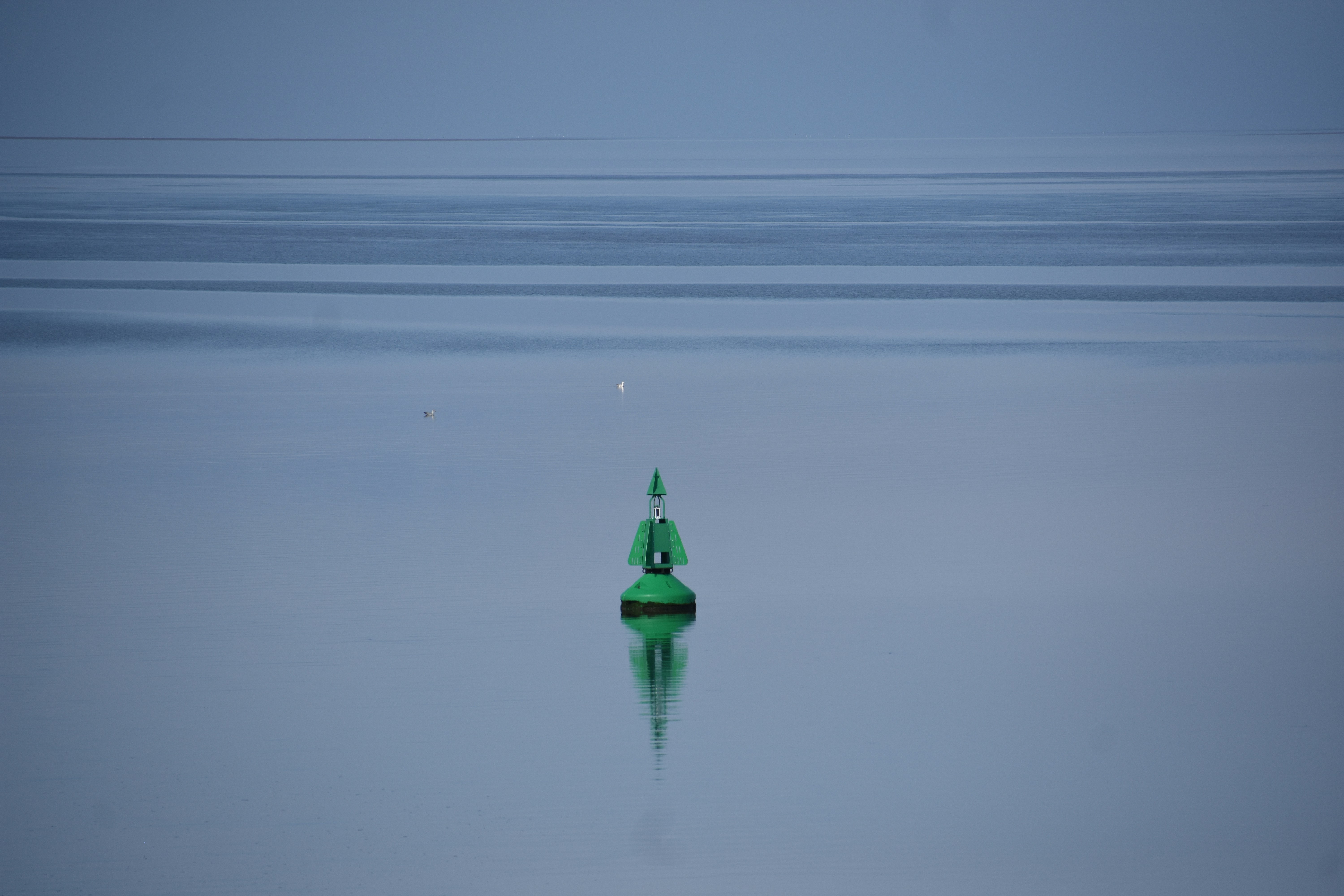 une bouée verte flottant au milieu d’un plan d’eau