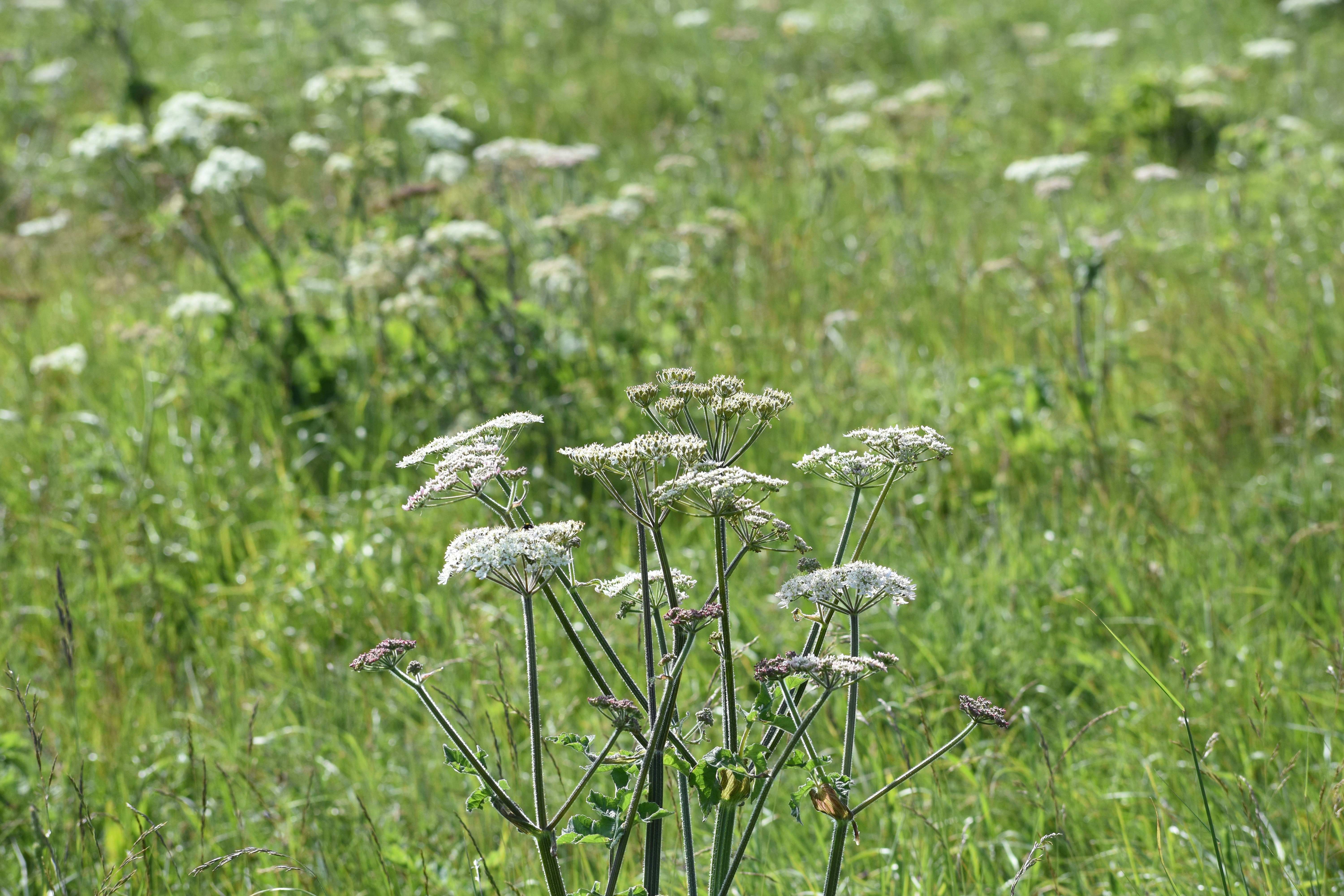 Photo by andrew_hall