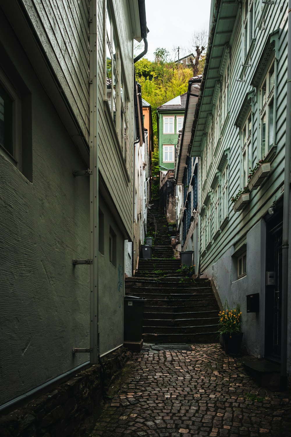 a narrow cobblestone street in a small town