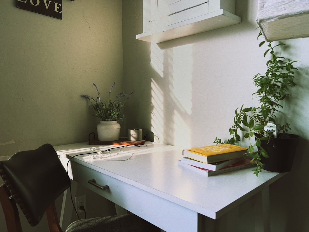 a desk with a plant and a book on it