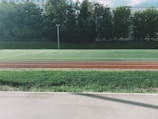 A well-maintained athletic field with a green grass surface is bordered by a running track in front. Trees form a dense backdrop, providing a natural barrier. A streetlamp stands alone on the field, and there are hints of buildings visible behind the trees.