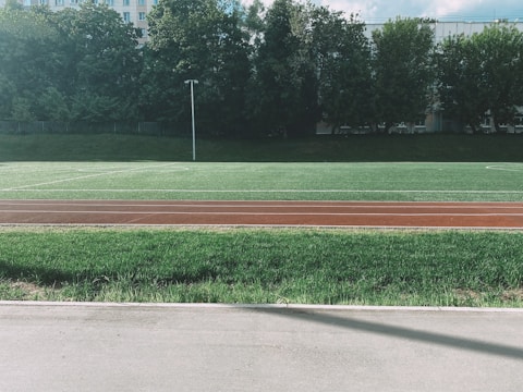A well-maintained athletic field with a green grass surface is bordered by a running track in front. Trees form a dense backdrop, providing a natural barrier. A streetlamp stands alone on the field, and there are hints of buildings visible behind the trees.