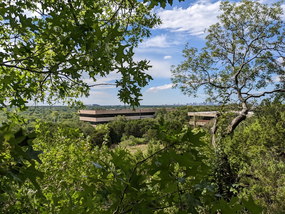 a view of a building through the trees