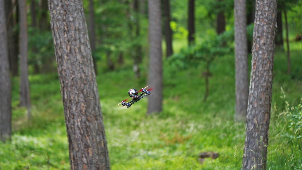 a person riding a bike through a forest