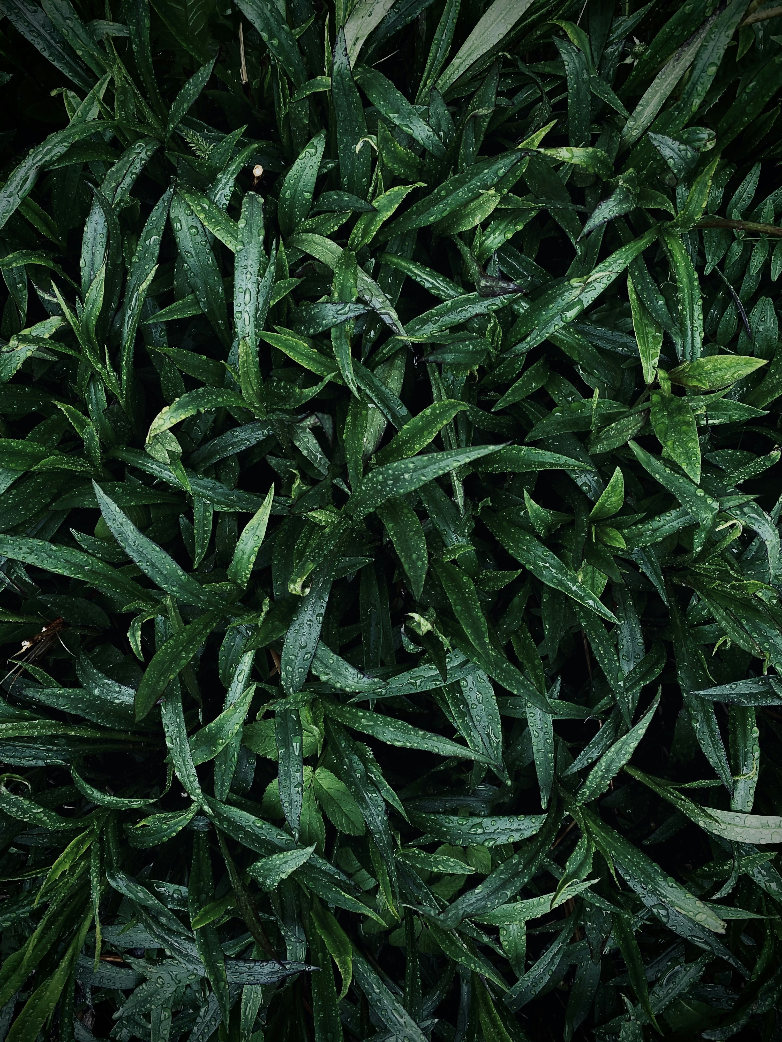 Photo by eugene_golovesov