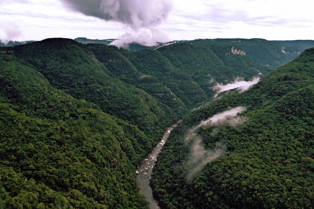 a river running through a lush green valley