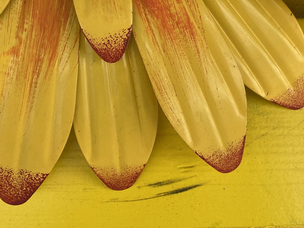 a close up of a flower on a yellow table