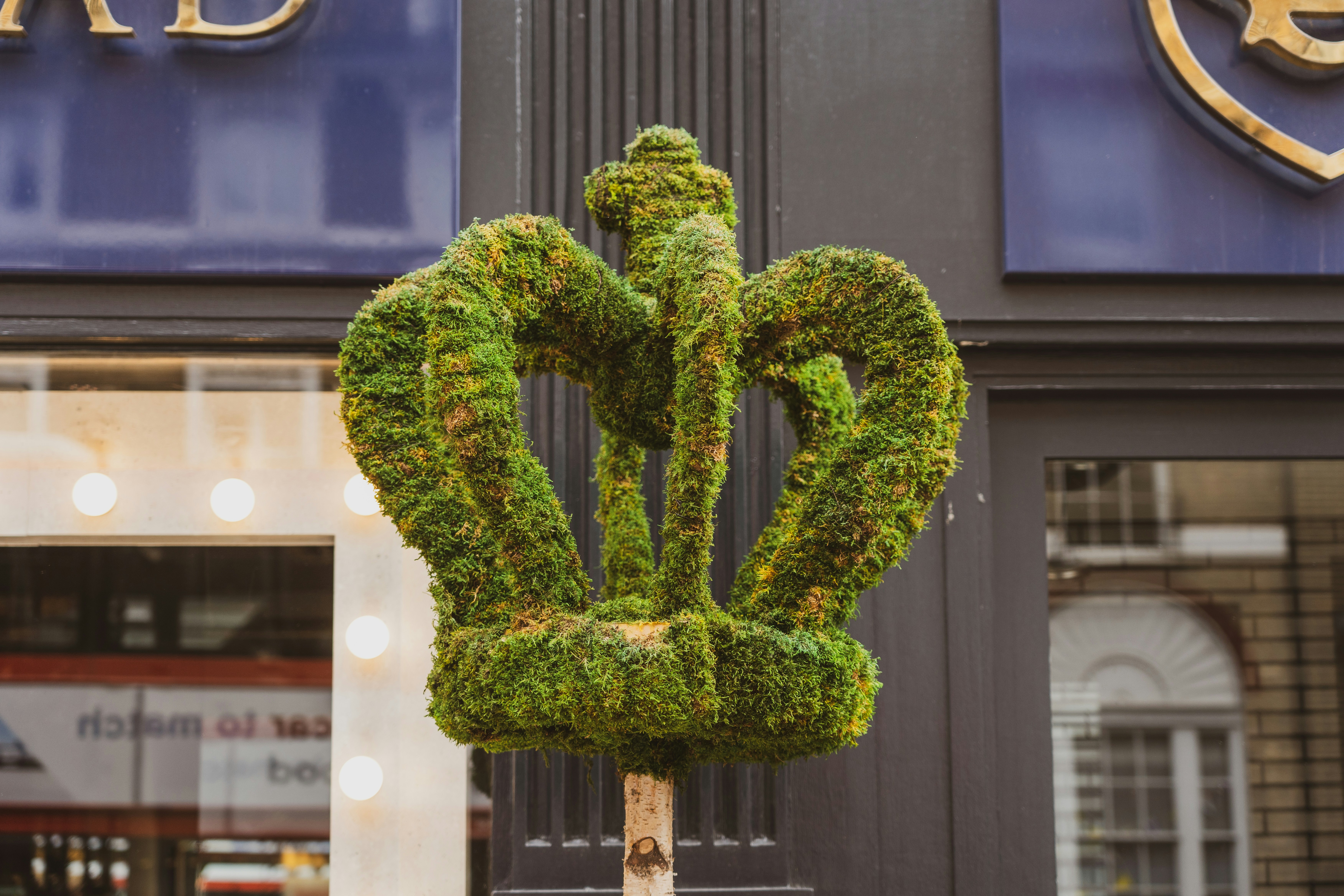 Choose from a curated selection of green wallpapers for your mobile and desktop screens. Always free on Unsplash.