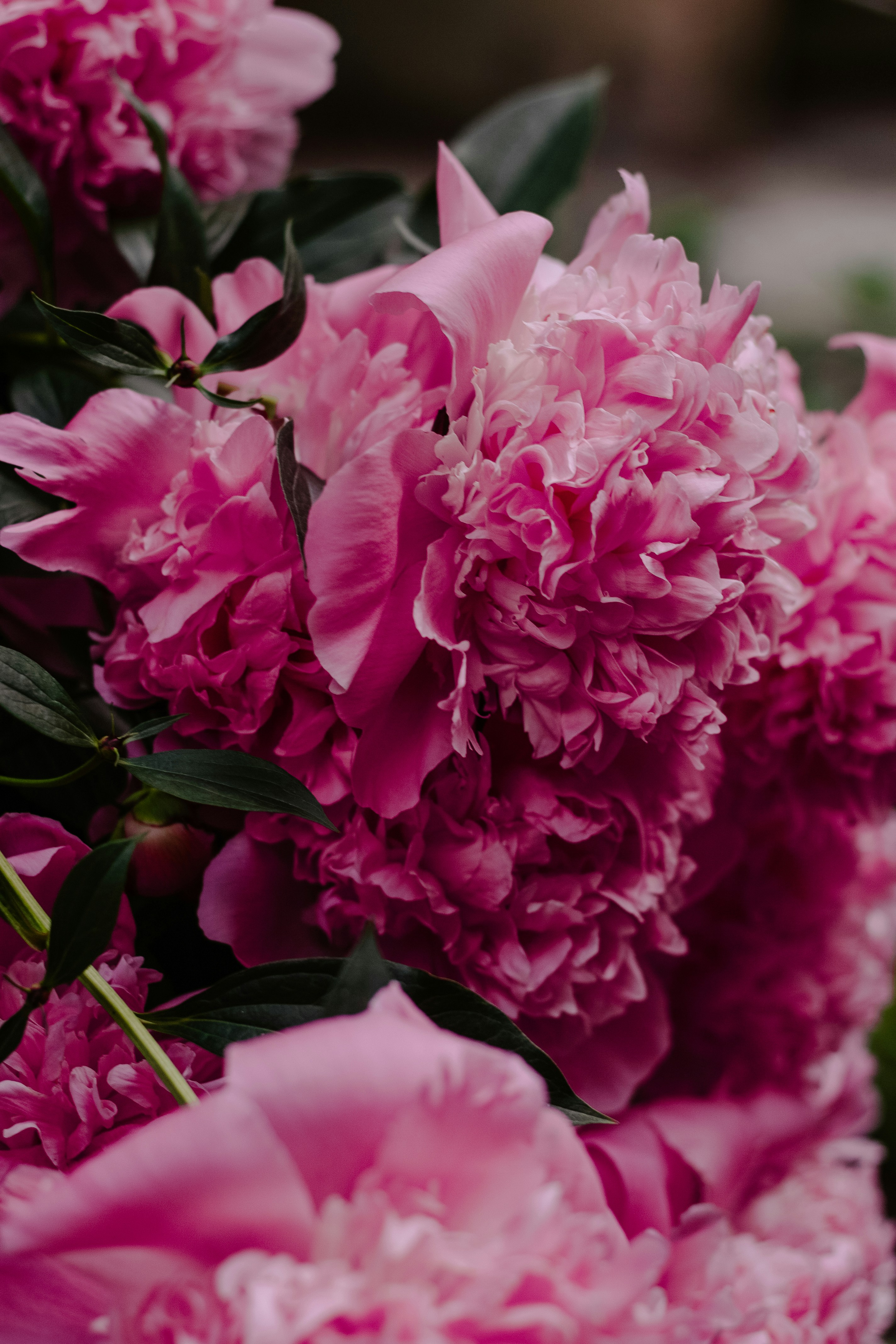 Photo by annaleksandrovishna