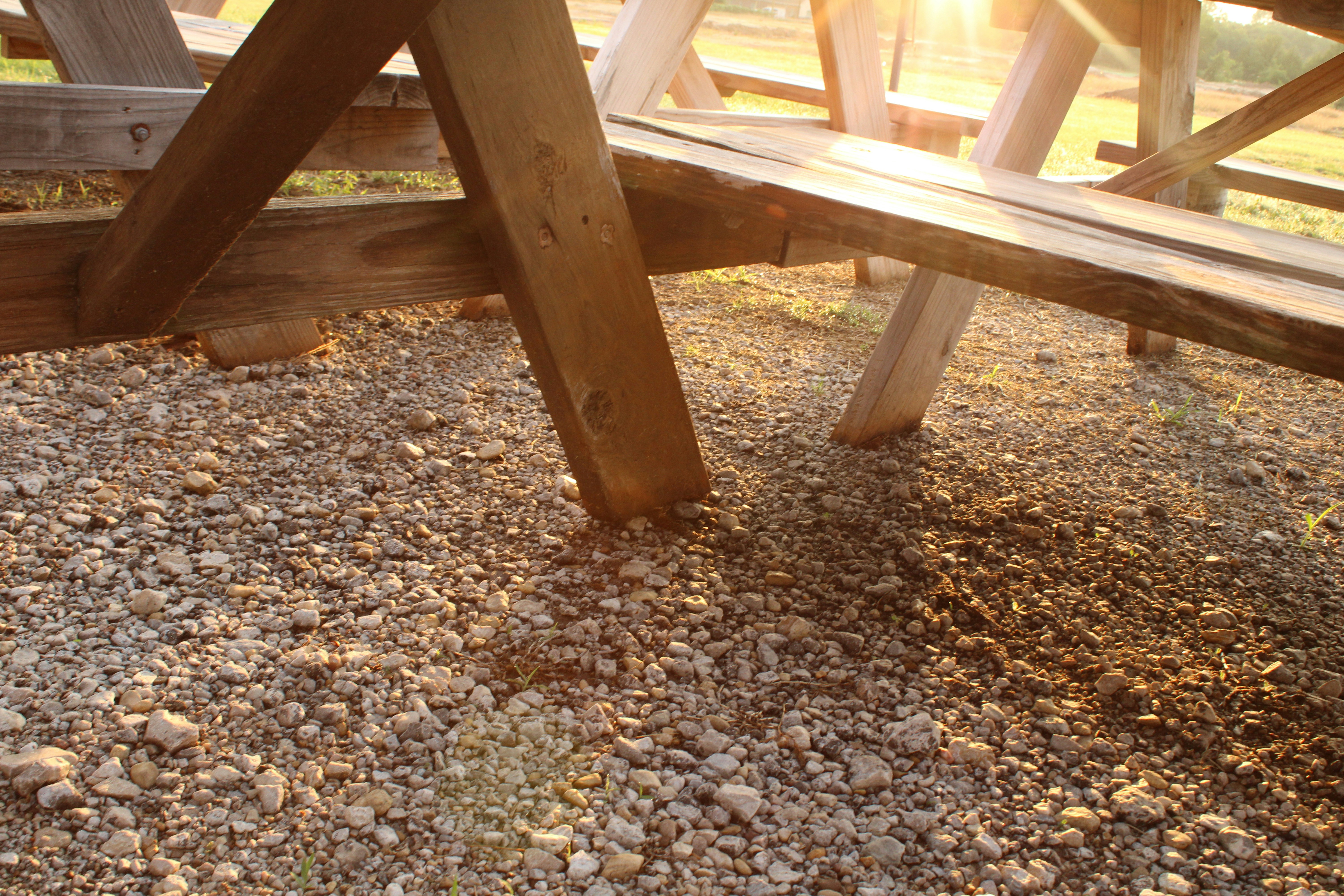 Different types of gardening sheers on a table