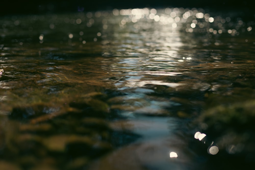 a close up of a body of water