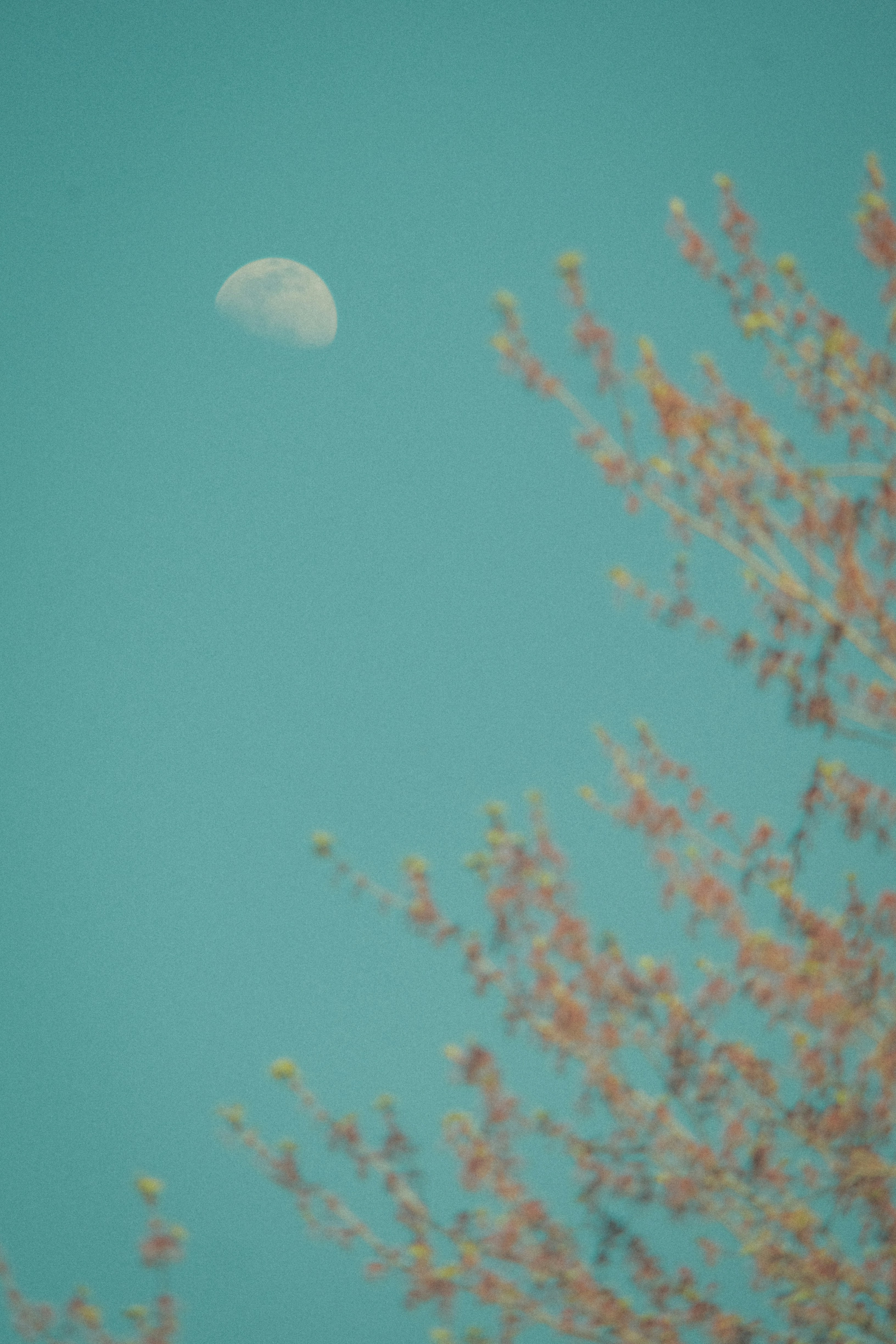 Photo by jhudsongraves