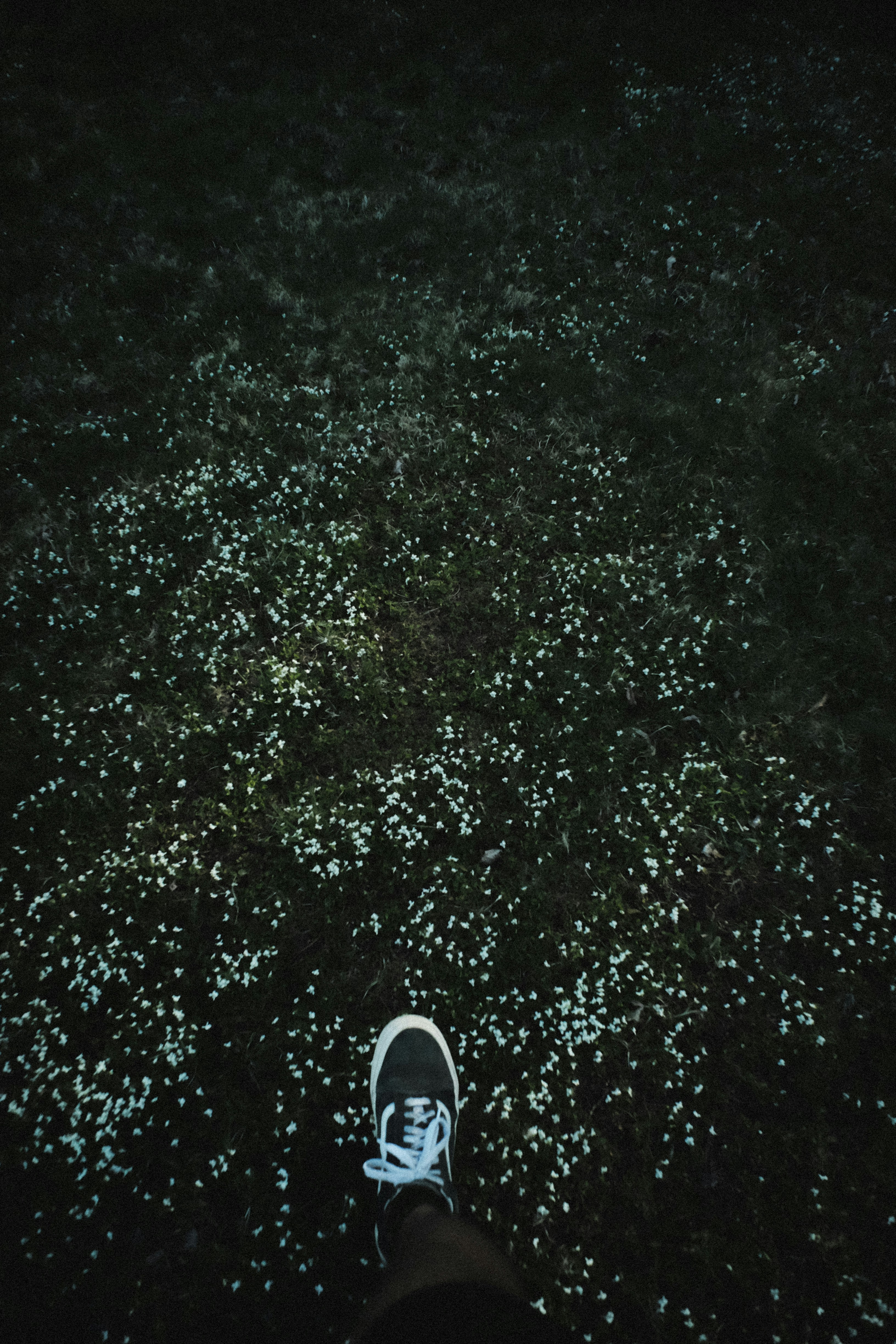 Photo by jhudsongraves