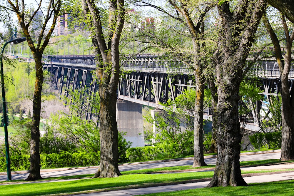 a bridge over a river surrounded by trees