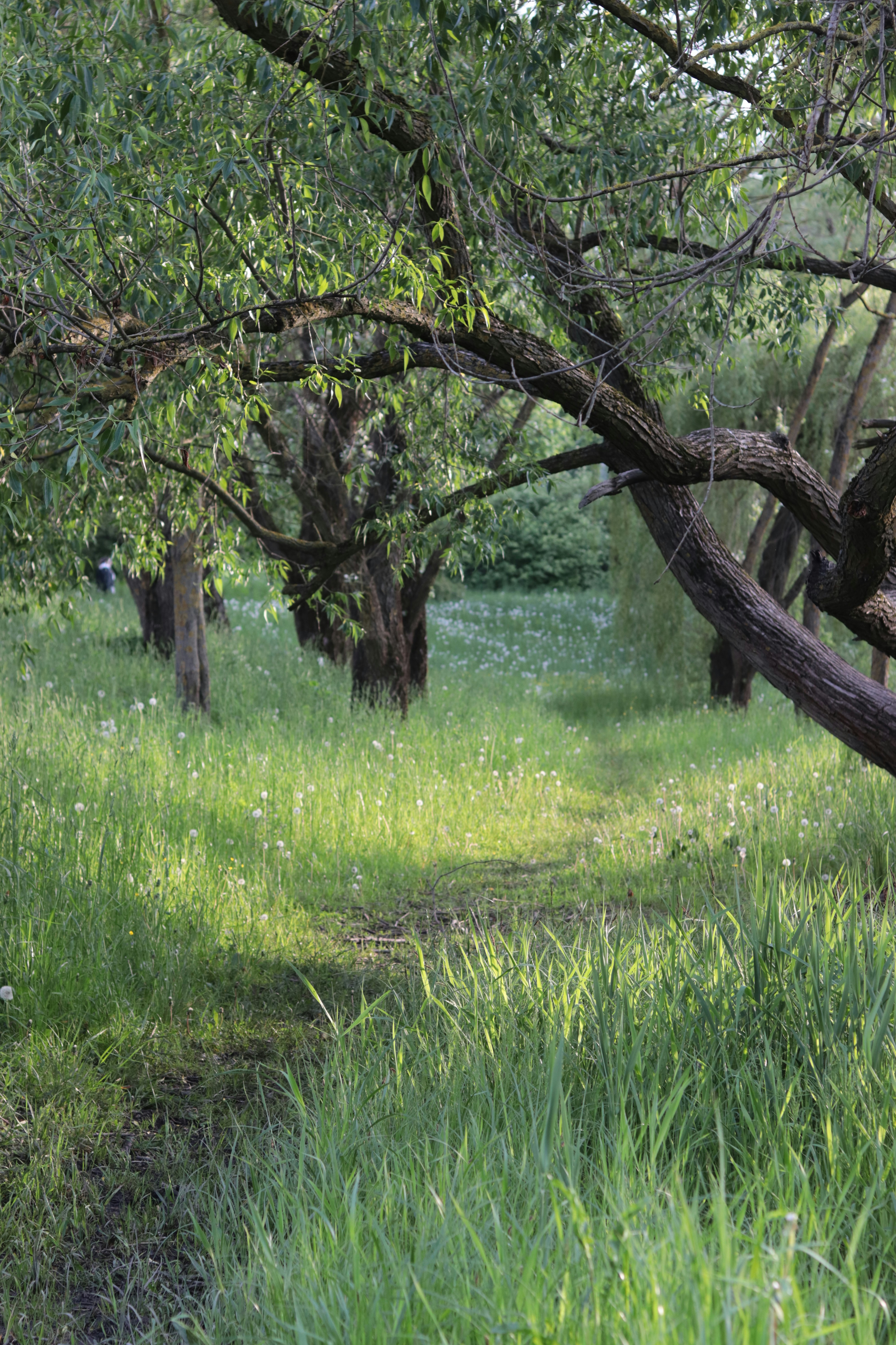 Photo by milagrosira999