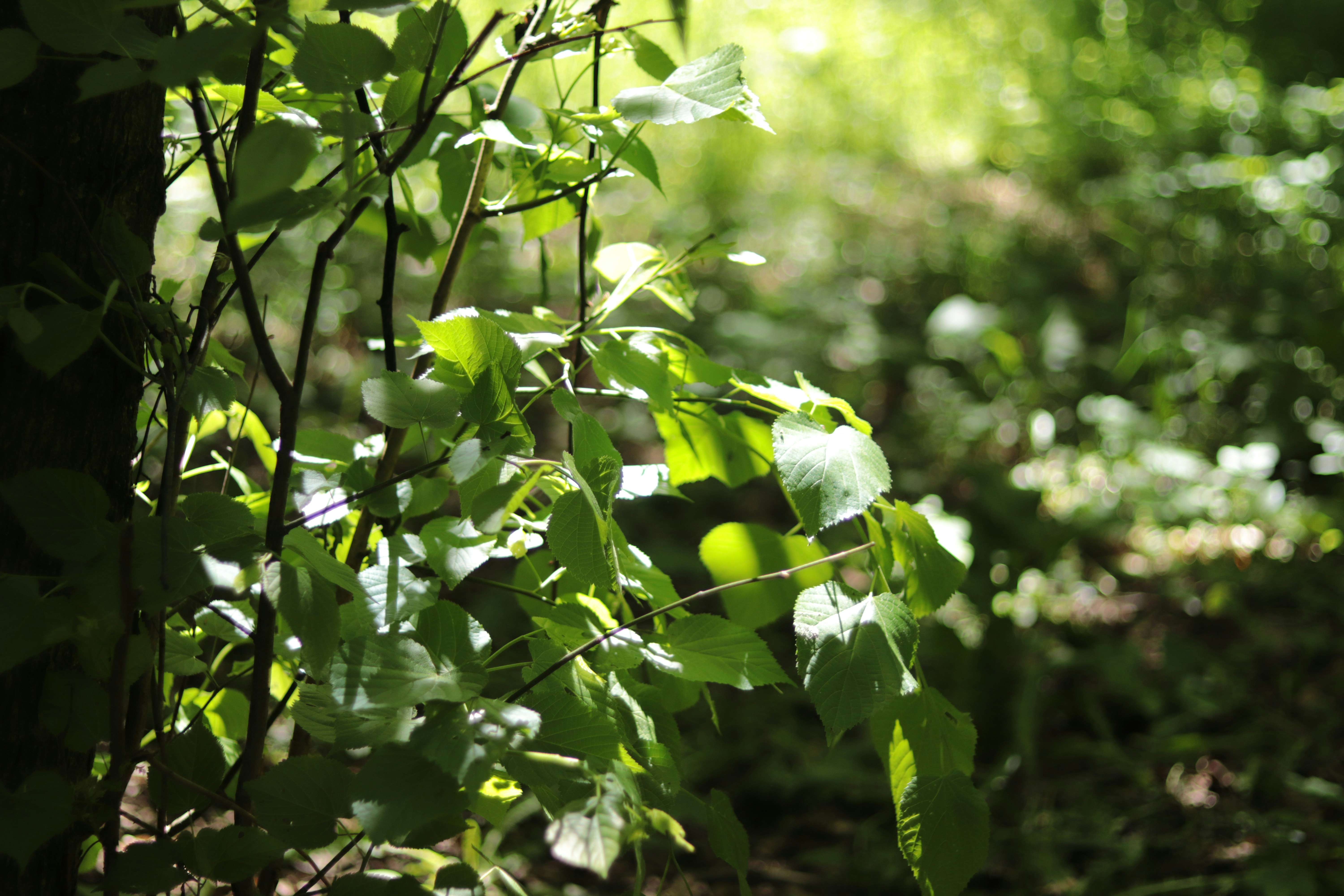 Photo by milagrosira999