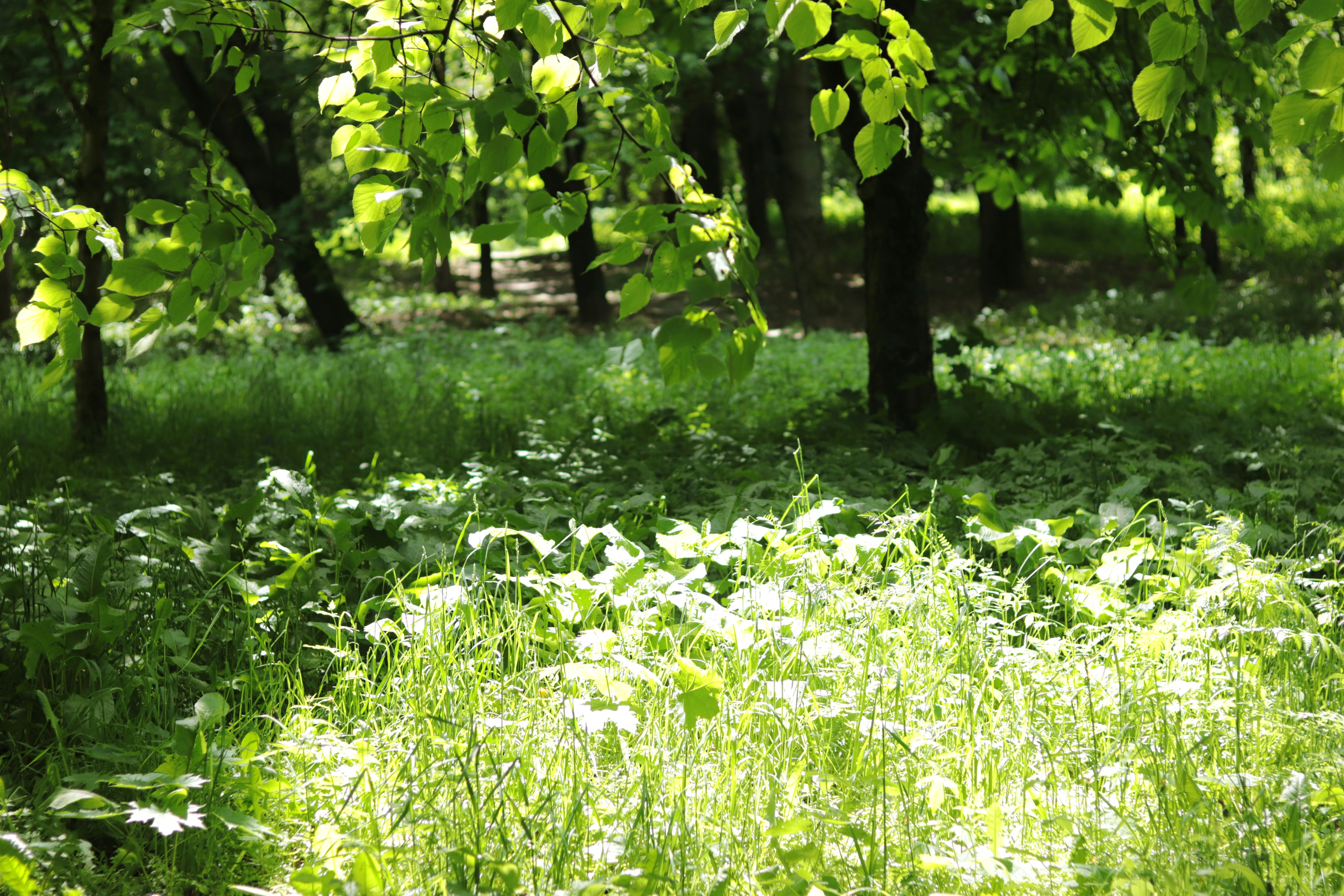 Photo by milagrosira999